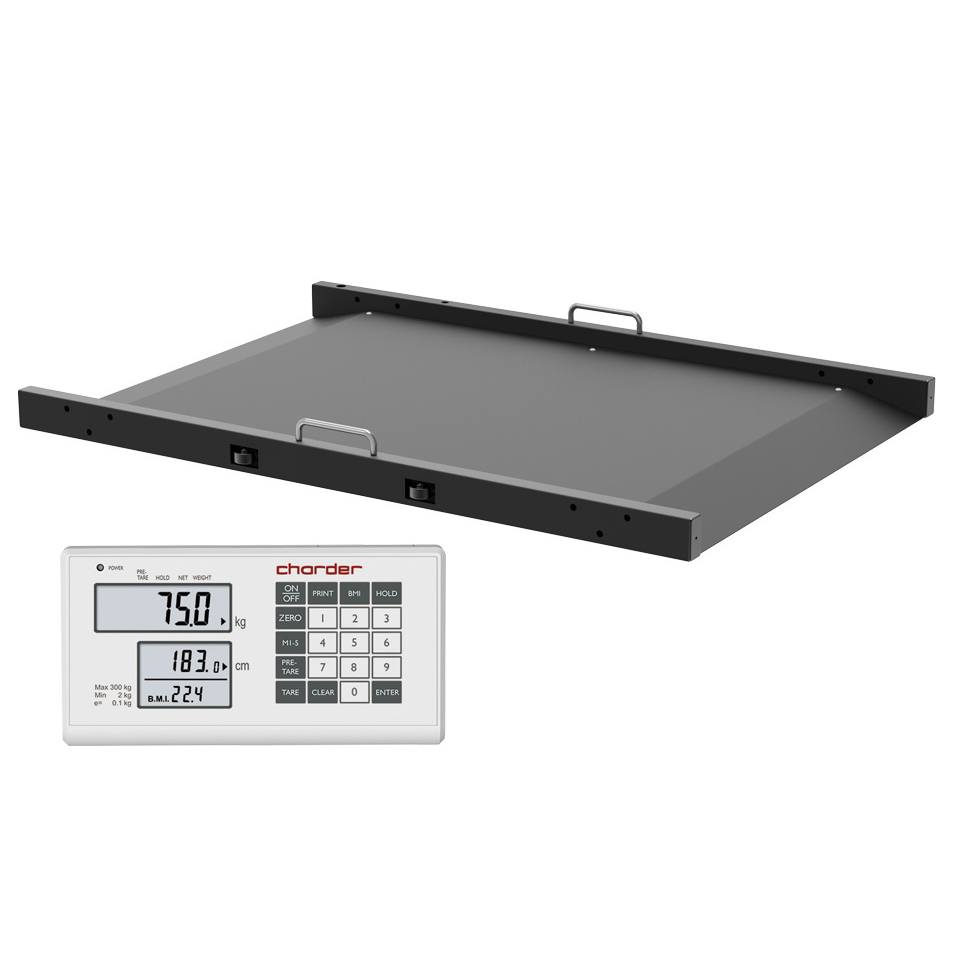 MS3830多功能平臺(tái)秤